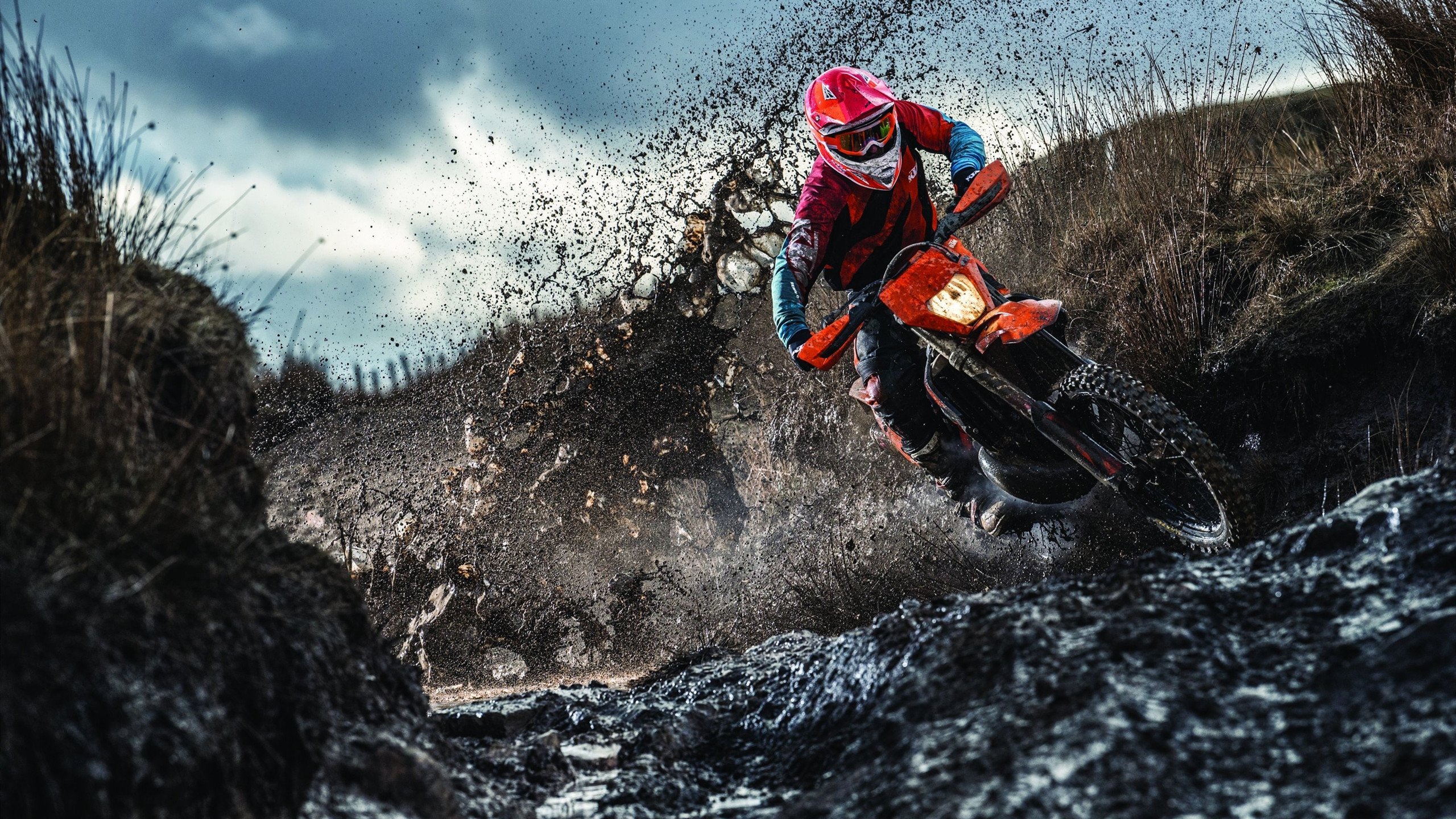 欧冠淘汰赛焦点战,荷兰一波流艺术,如何将波兰钉上战术的十字架